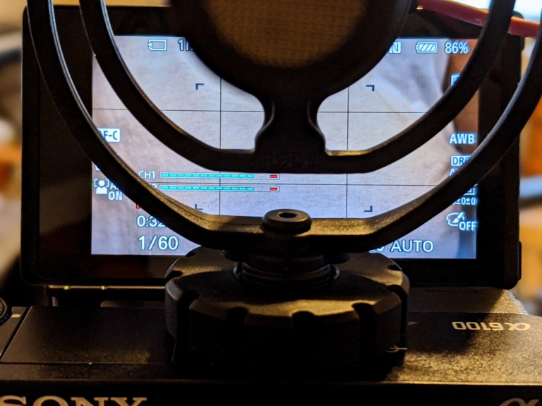 00100lrportrait_00100_burst20200201162338863_cover