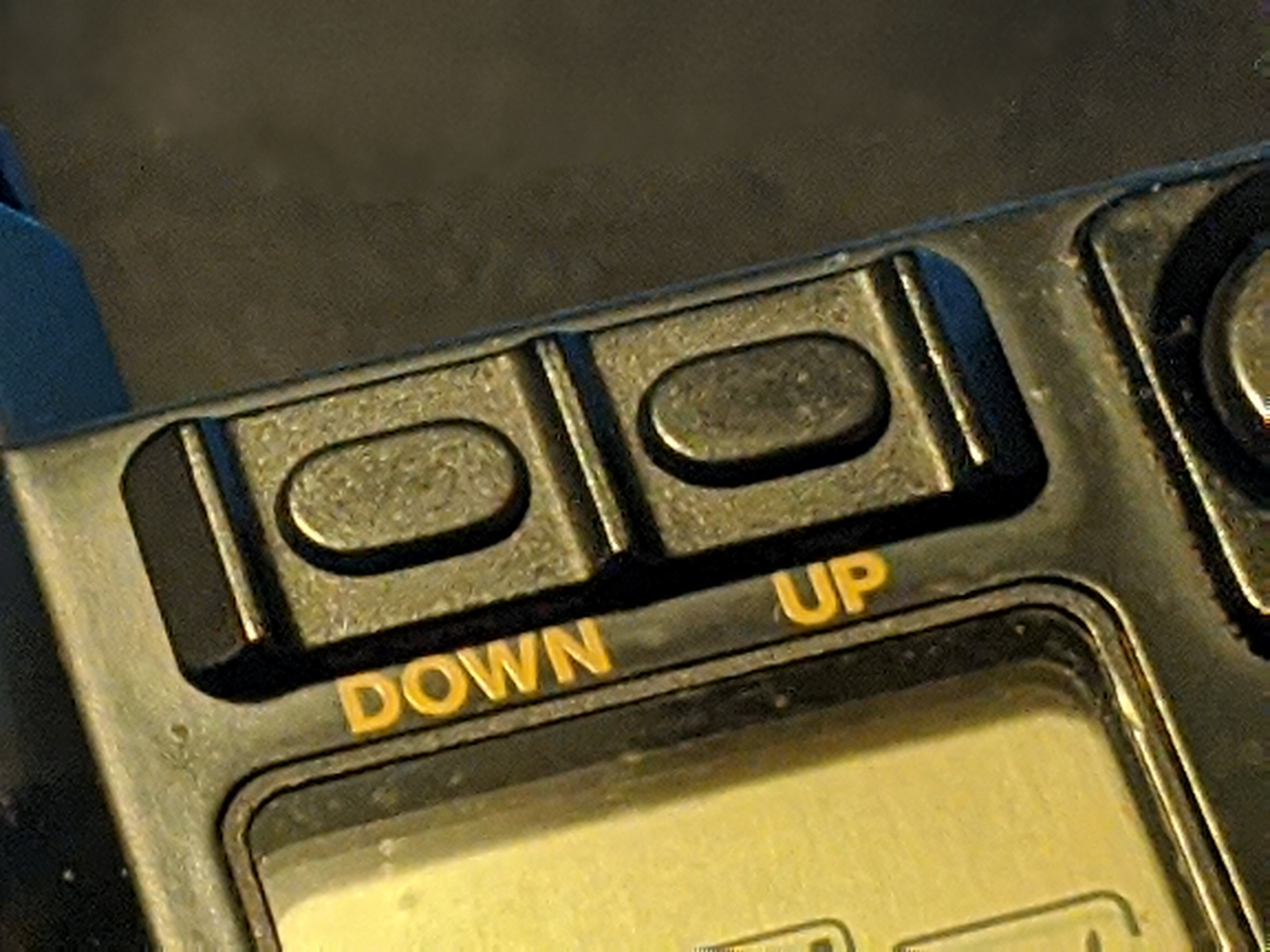 00100lrportrait_00100_burst20200229215507982_cover