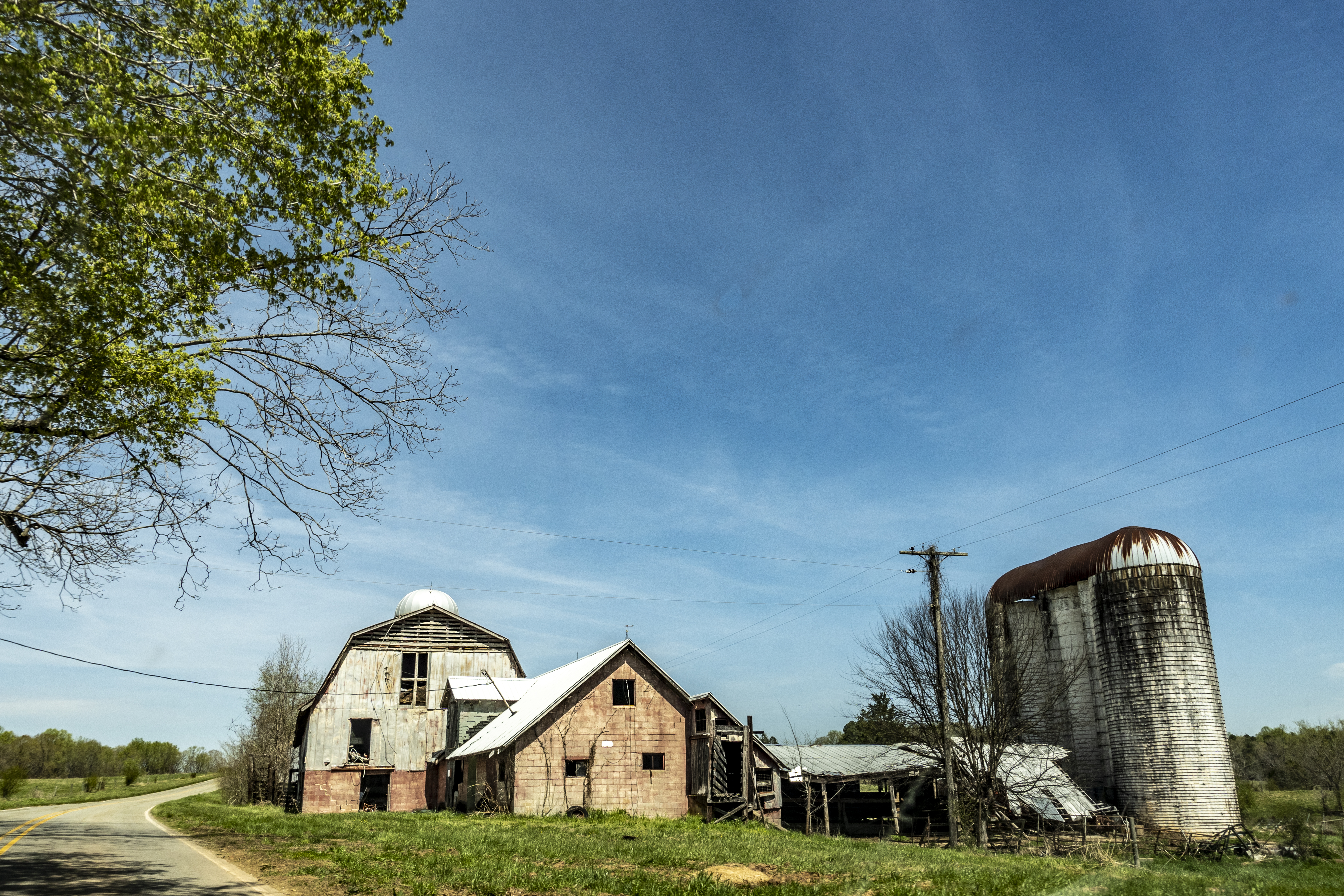 Tooling about w/ the Sony ZV-1. A great little camera. – Eric L. Woods
