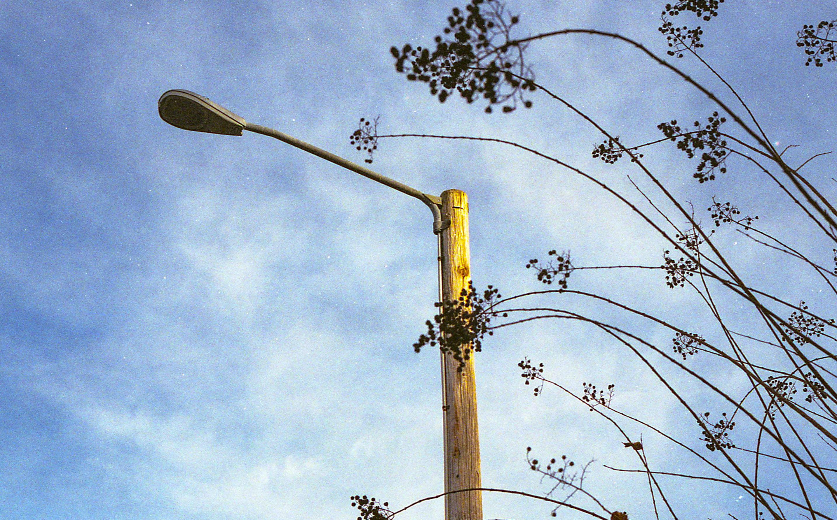 CONTAX G1 Planar 45mm ストロボ セット 超美品 Yahoo!オークション -「contax g 45mm」の落札相場・落札価格