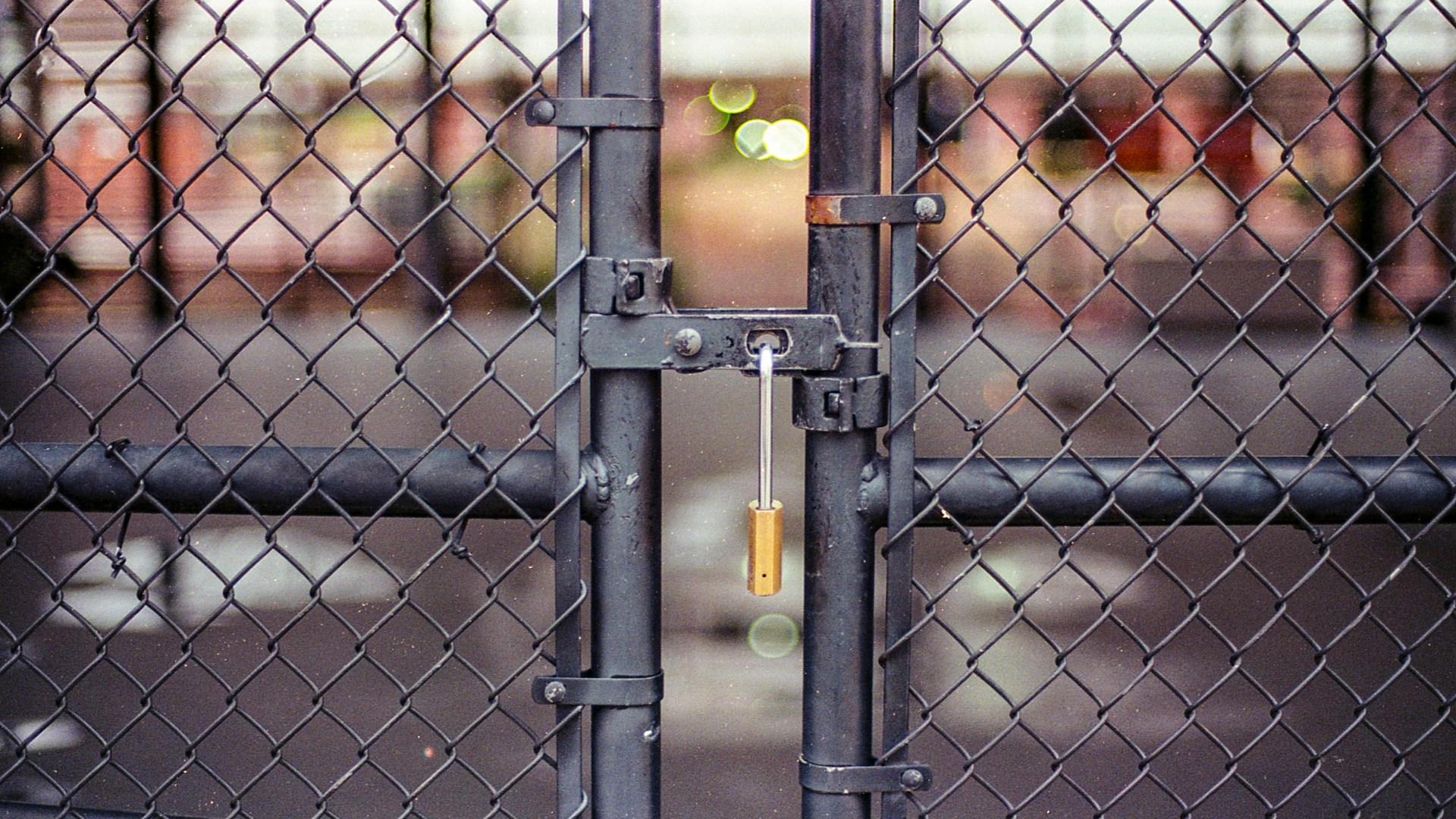 Analog Therapy: Pentax *ist – FA 50mm f/1.4 – Kodak Gold 200. – Eric L.  Woods