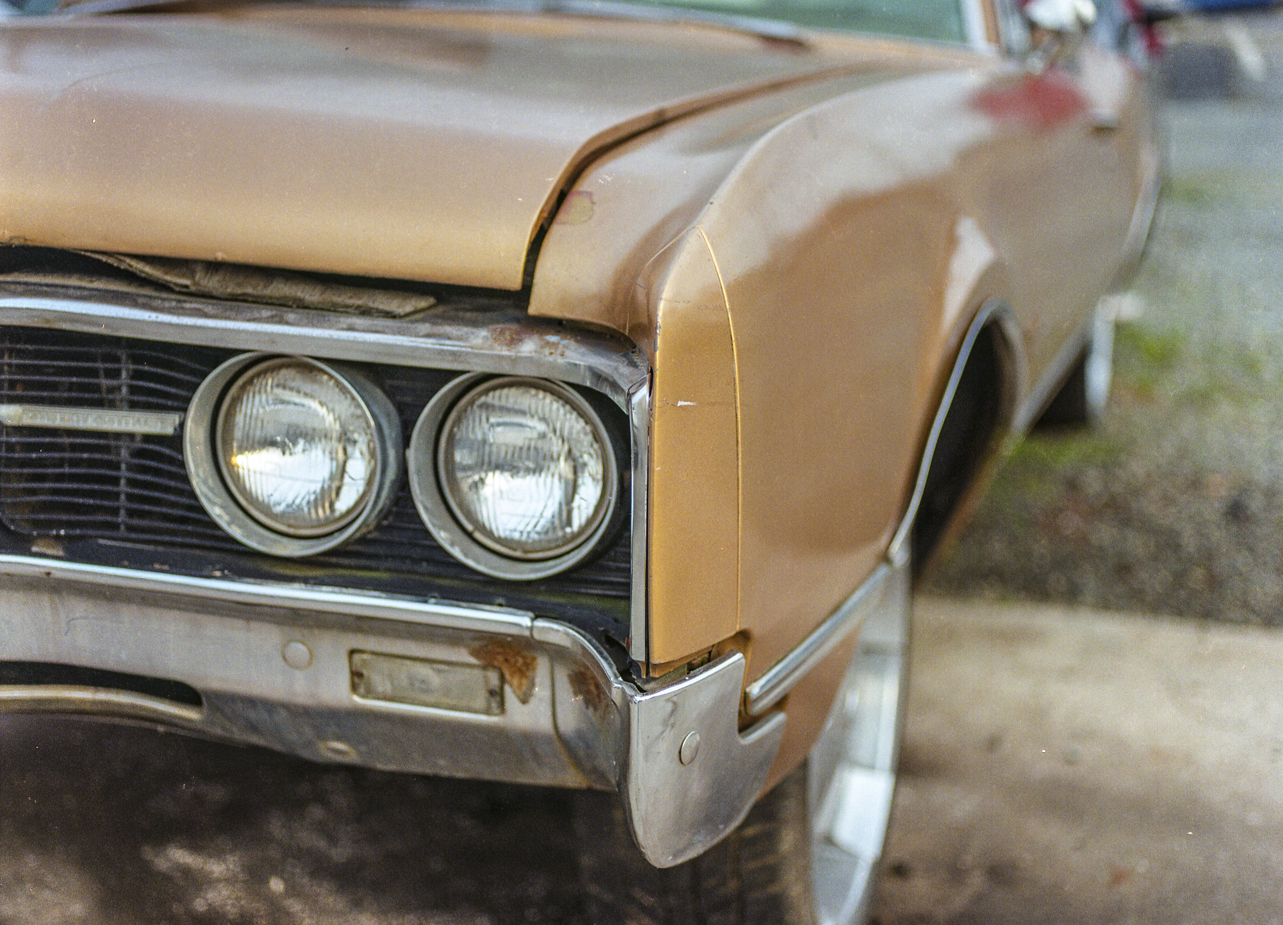 Analog Therapy/The Tried and True: Pentax 645N – FA 75mm f/2.8