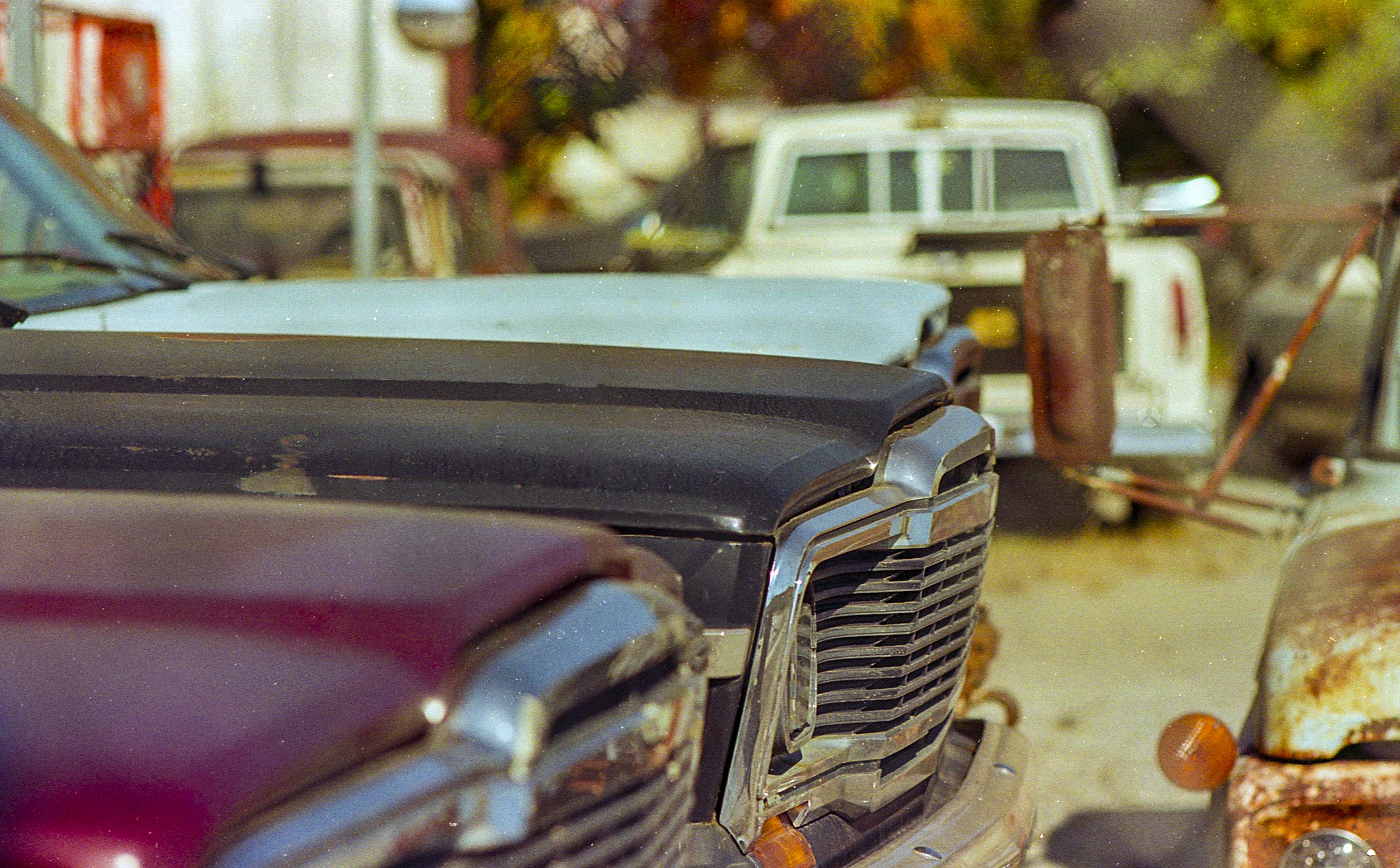 This Old Lens On Fujifilm 200: Leica Leitz Canada 135mm f/2.8