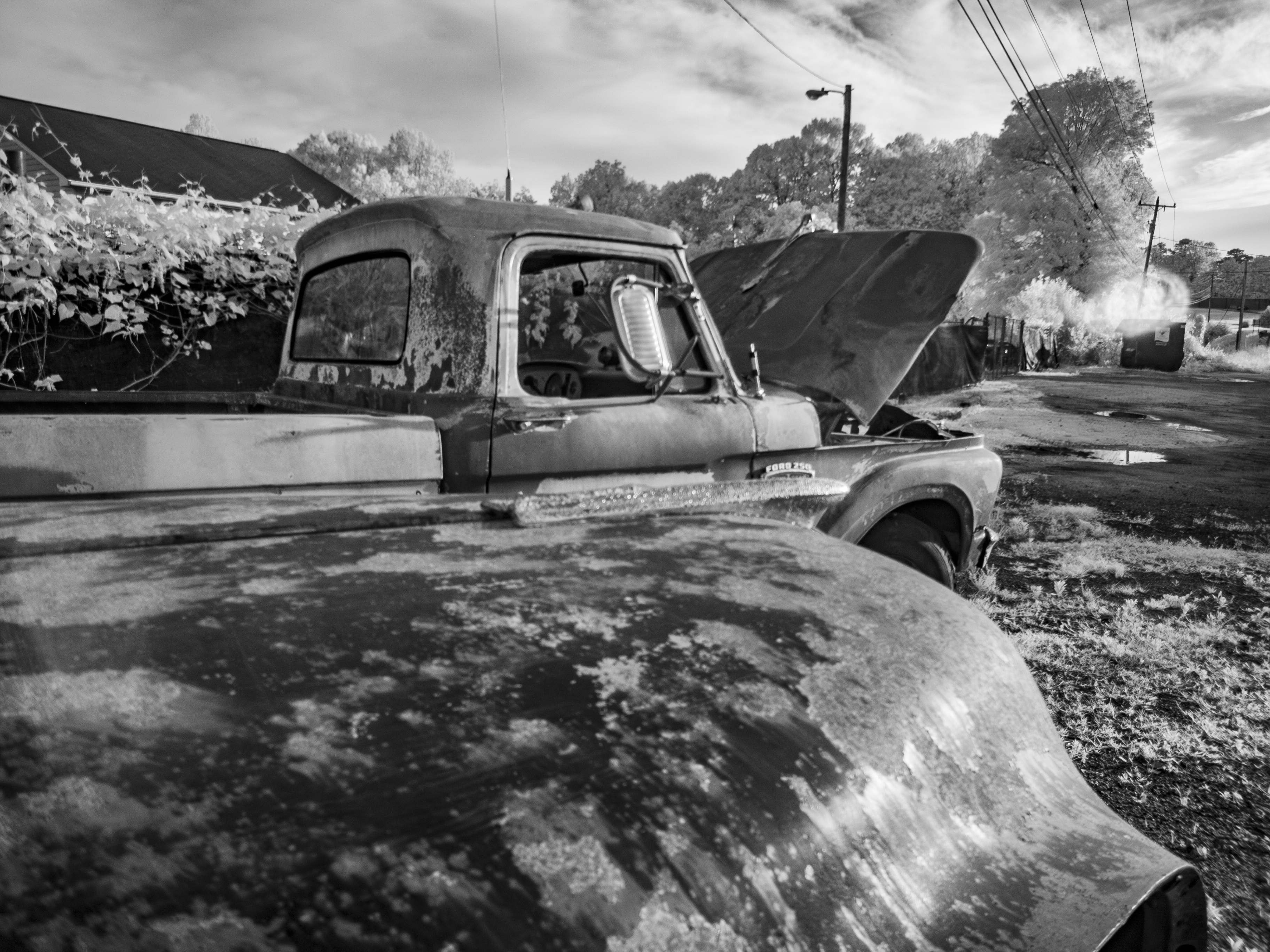 Vintage Digital: Infrared modified GXR S10 24-72mm… What On Earth