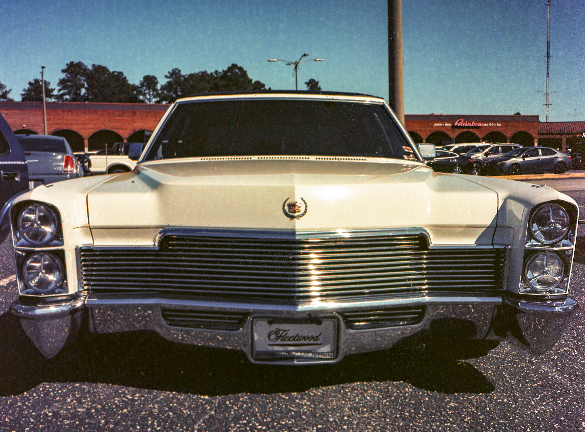 One Car Show, Three Films: 120 Kodak Gold 200. – Eric L. Woods
